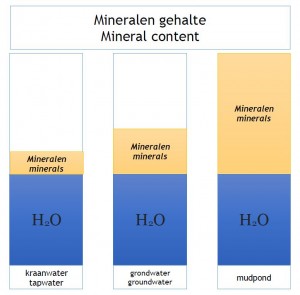 Mineral