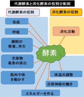 日本語