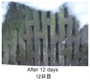 WS000003