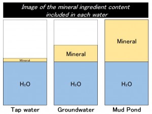 Mineral plus