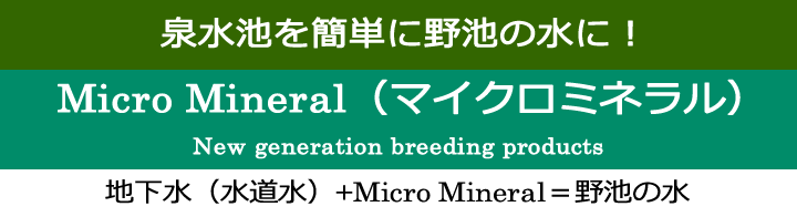 泉水池を簡単に野池の水に！Micro Mineral（マイクロミネラル）New generation breeding products地下水（水道水）+Micro Mineral＝野池の水